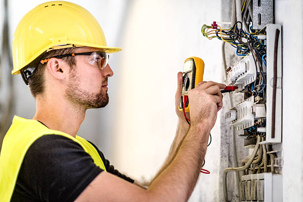 Best Electrical Panel Upgrades  in Dane, WI